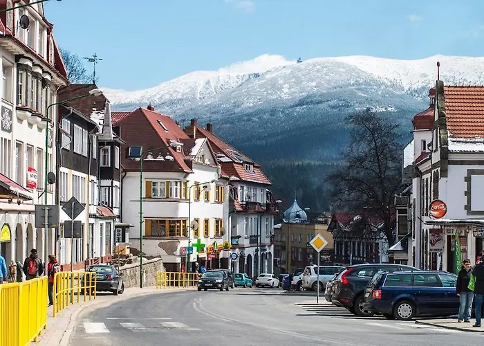 Trevilles Daisy شكلارسكا بوريبا