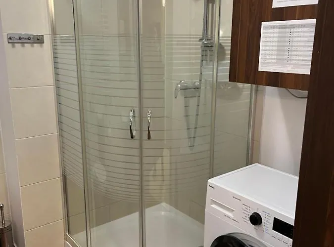 Trevilles Daisy شكلارسكا بوريبا